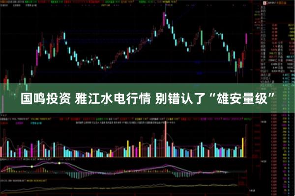 国鸣投资 雅江水电行情 别错认了“雄安量级”