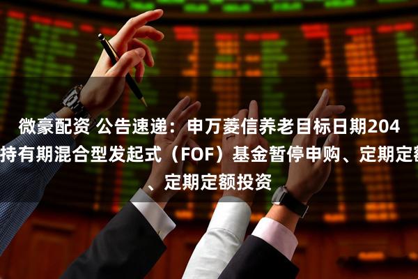 微豪配资 公告速递：申万菱信养老目标日期2040三年持有期混合型发起式（FOF）基金暂停申购、定期定额投资