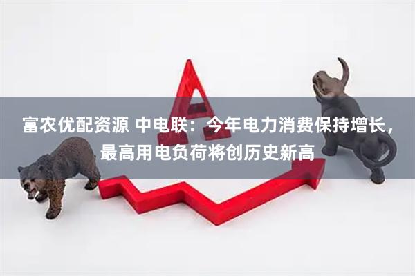 富农优配资源 中电联：今年电力消费保持增长，最高用电负荷将创历史新高