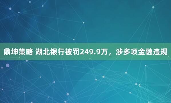 鼎坤策略 湖北银行被罚249.9万,涉多项金融违规